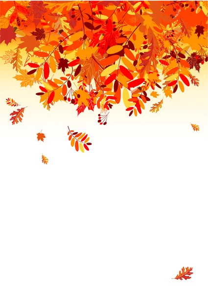 Autumn leaves background for your design — Stock Vector