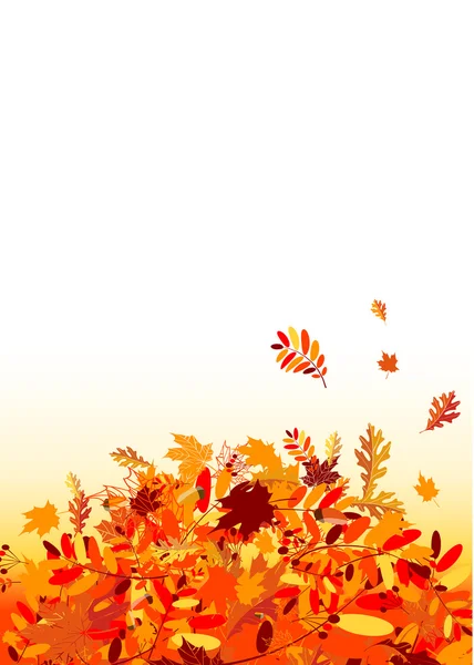 Fondo de hojas de otoño para su diseño — Vector de stock