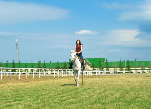 Dziewczynę ogarnia białego konia — Zdjęcie stockowe