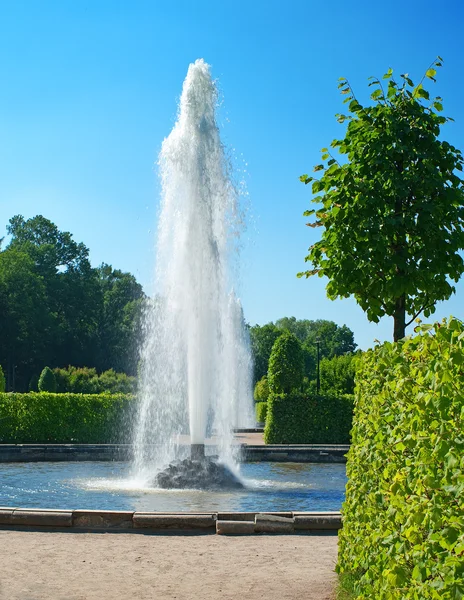 Fountain of Petergof — Stock Photo, Image