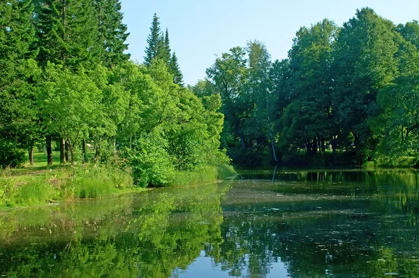 Parque con estanque — Foto de Stock