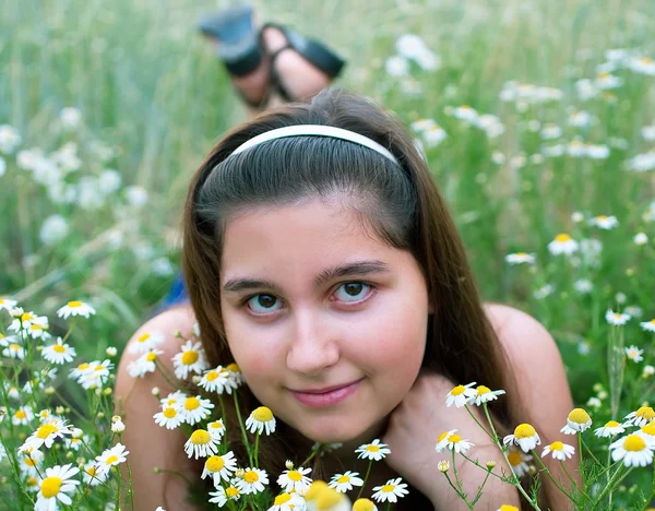 Dívka na chamomiles — Stock fotografie