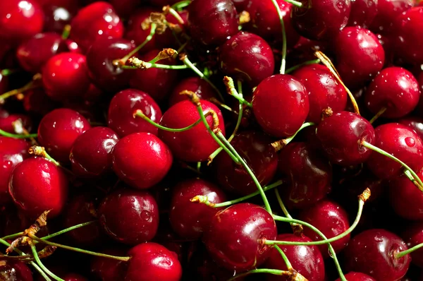 stock image Ripe sweet cherry