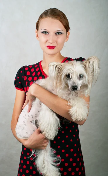 Girl and chinese crested dog — Stock Photo, Image