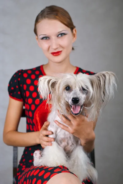 Hermosa chica y perro — Foto de Stock