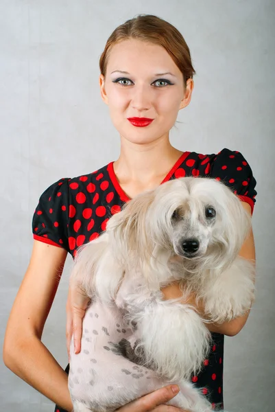 Dívka a čínský chocholatý pes — Stock fotografie