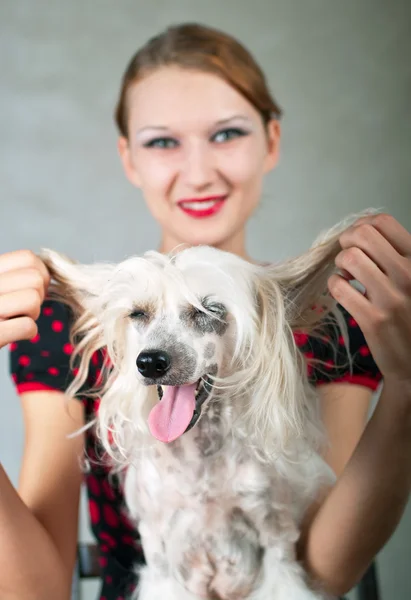 Meisje en chinese crested dog — Stockfoto