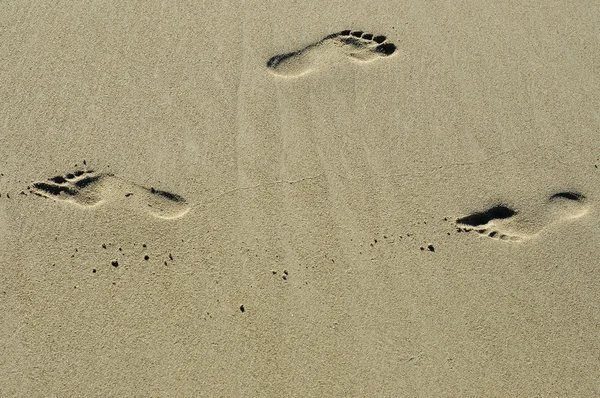 Impronta dei piedi umani — Foto Stock