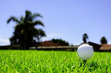 Golf ball on the green grass clipart