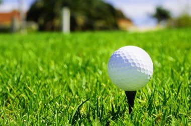 Golf ball on the green grass clipart