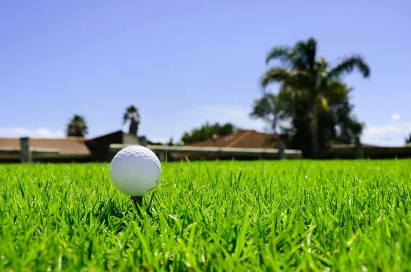 초록 잔디 위의 골프 공 — 스톡 사진