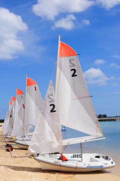 stock image Several boats with sails