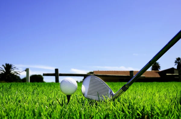 Pelota de golf en la hierba verde —  Fotos de Stock