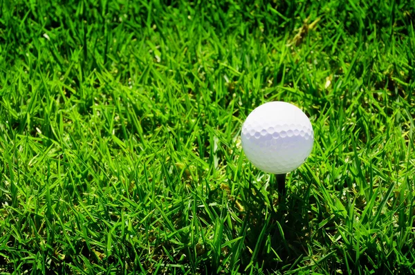 Мяч для гольфа на зеленой траве — стоковое фото