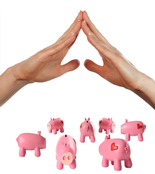 Arms and piggy bank — Stock Photo, Image