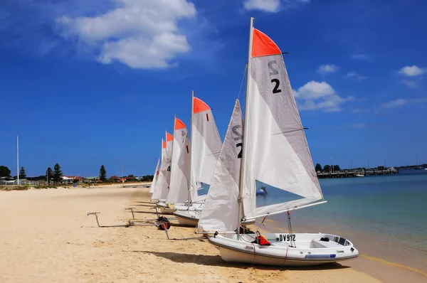 stock image Several boats with sails