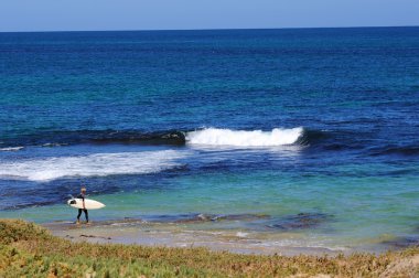 Surfers ride big waves clipart