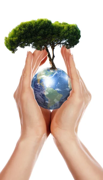 手，地球和树 — 图库照片