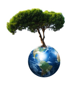 Earth and the tree clipart