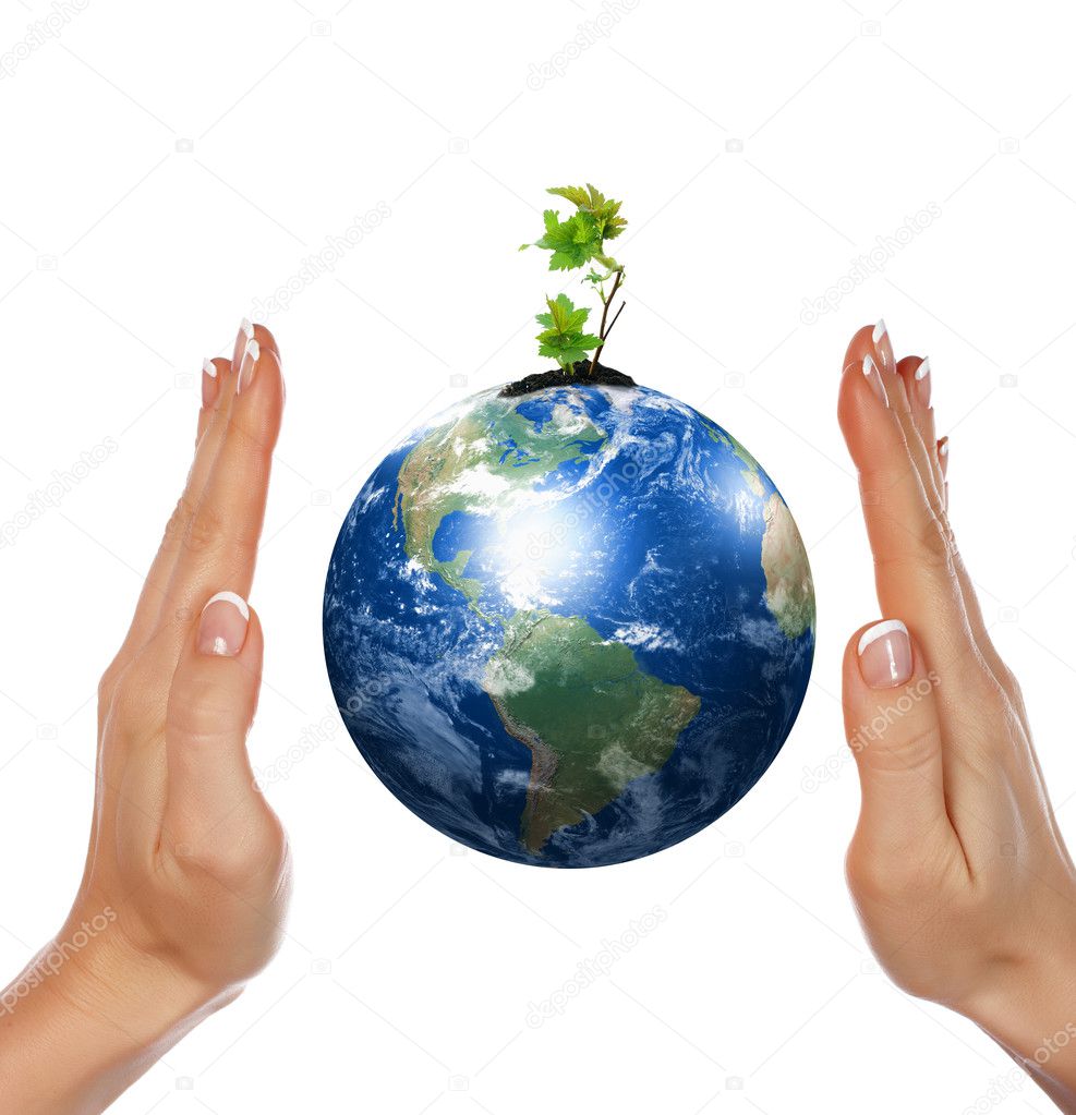 Hands, the sprout and Earth