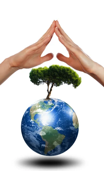 Händer, jorden och trädet — Stockfoto