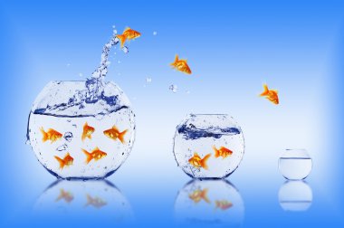 Goldfish jump clipart