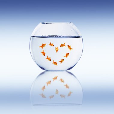 Goldfish swim clipart