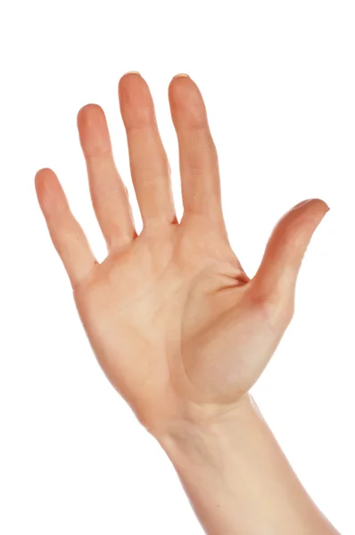 Різні знаки руки і долоні — стокове фото