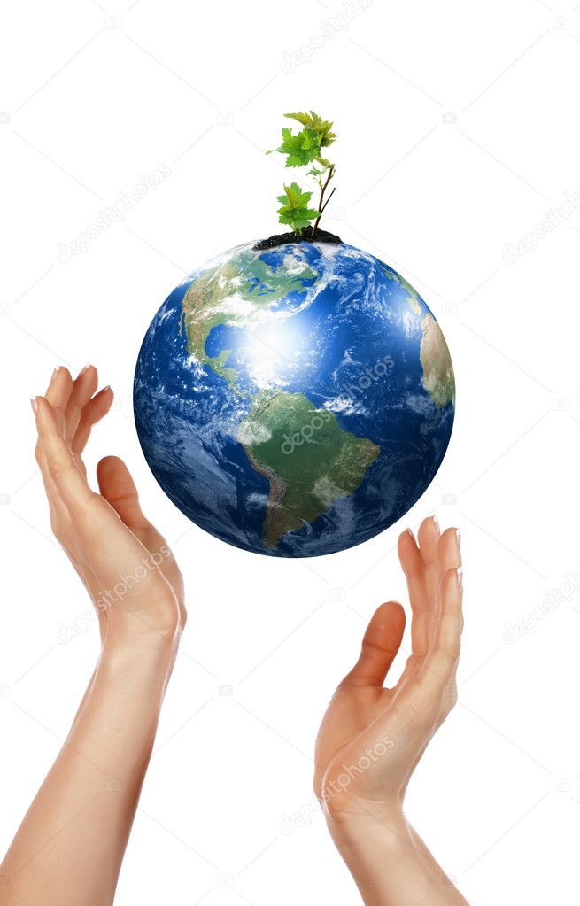 Hands, the sprout and Earth
