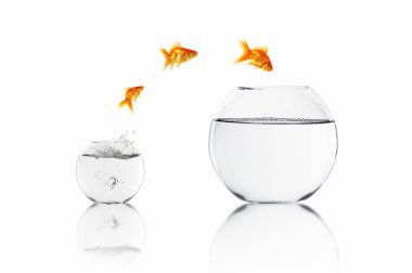 Goldfish jump clipart