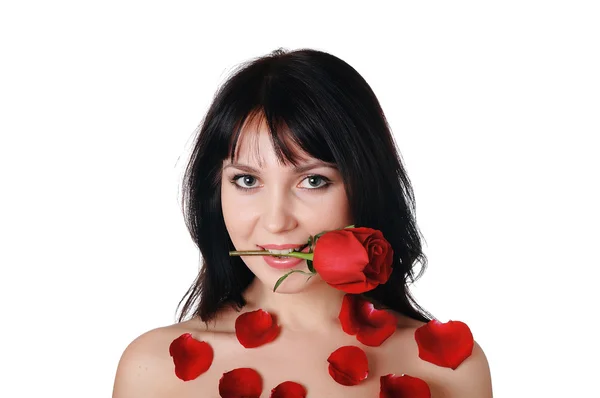 Fiatal szép barna gyönyörű piros rózsa — Stock Fotó
