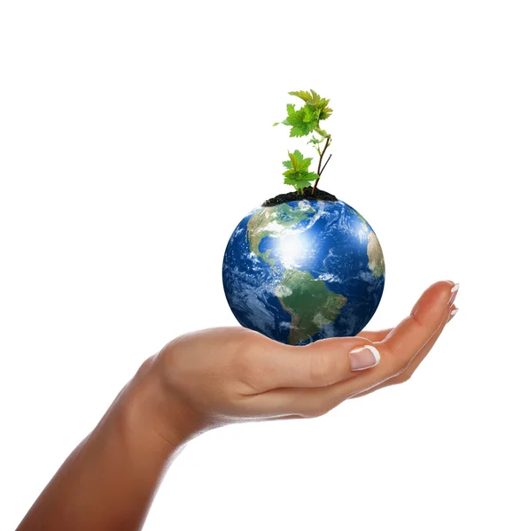 Hands, the sprout and Earth — Stock Photo, Image