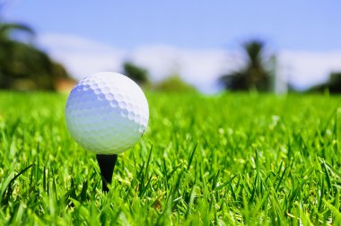 Golf ball on the green grass clipart