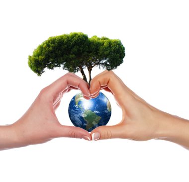 Hands, Earth and the tree clipart