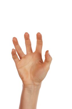 Various signs hands and palms clipart