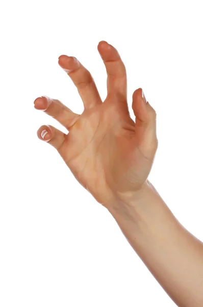Różne znaki ręce i dłonie — Zdjęcie stockowe