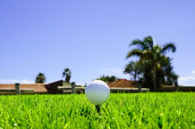 Golf ball on the green grass clipart