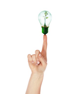 Light with a small sprout clipart