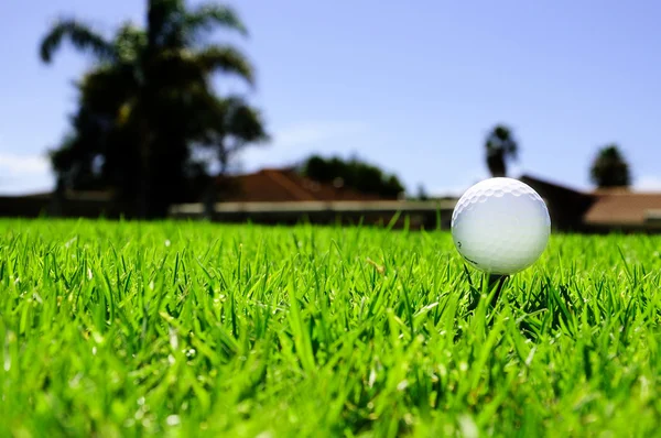 Golfbal op het groene gras — Stockfoto