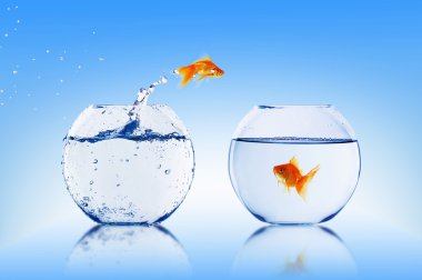 Goldfish jump clipart