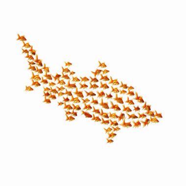 Goldfish clipart