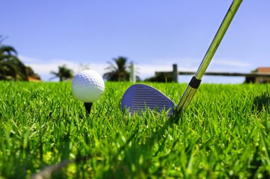 Ball and golf clubs clipart