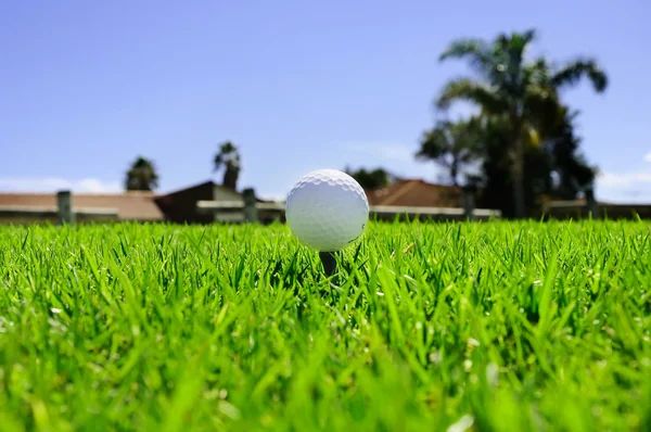 Golf labda a zöld füvön — Stock Fotó