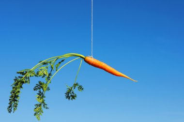 Orange carrot in the sky clipart