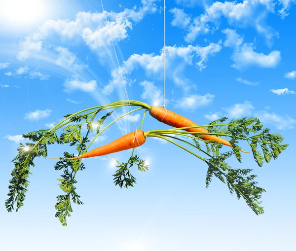 Oranje wortel in de hemel — Stockfoto