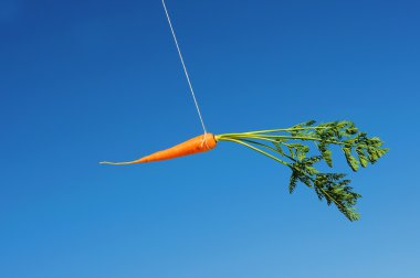 Orange carrot in the sky clipart