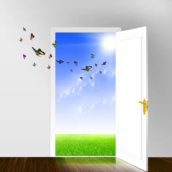 Белая дверь, ведущая в солнечный мир — стоковое фото
