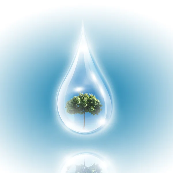 Large drops of green tree inside — Stock Photo, Image