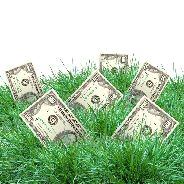 Vegetation of dollar bills — Stock Photo, Image