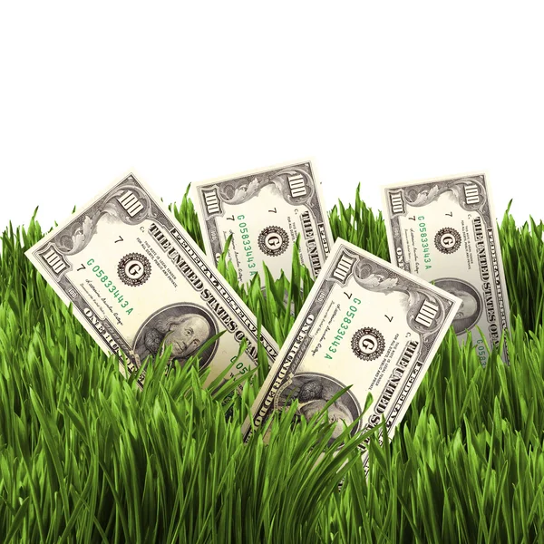 Növényzet a dollár számlák — Stock Fotó